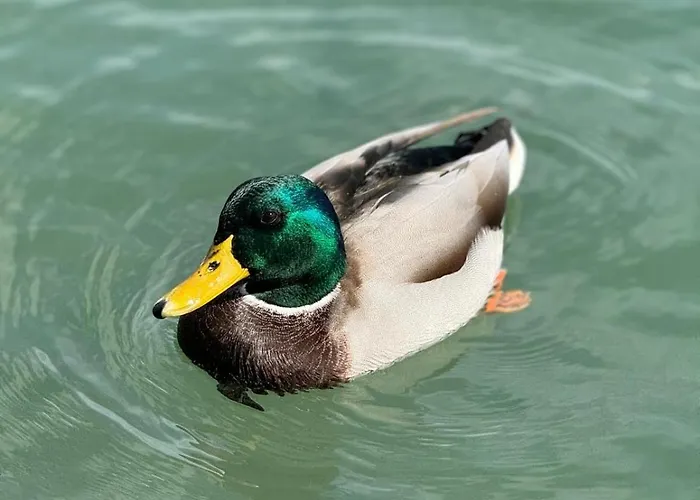 En El Campo Con Bano Privado En * بورت دي بوينسا